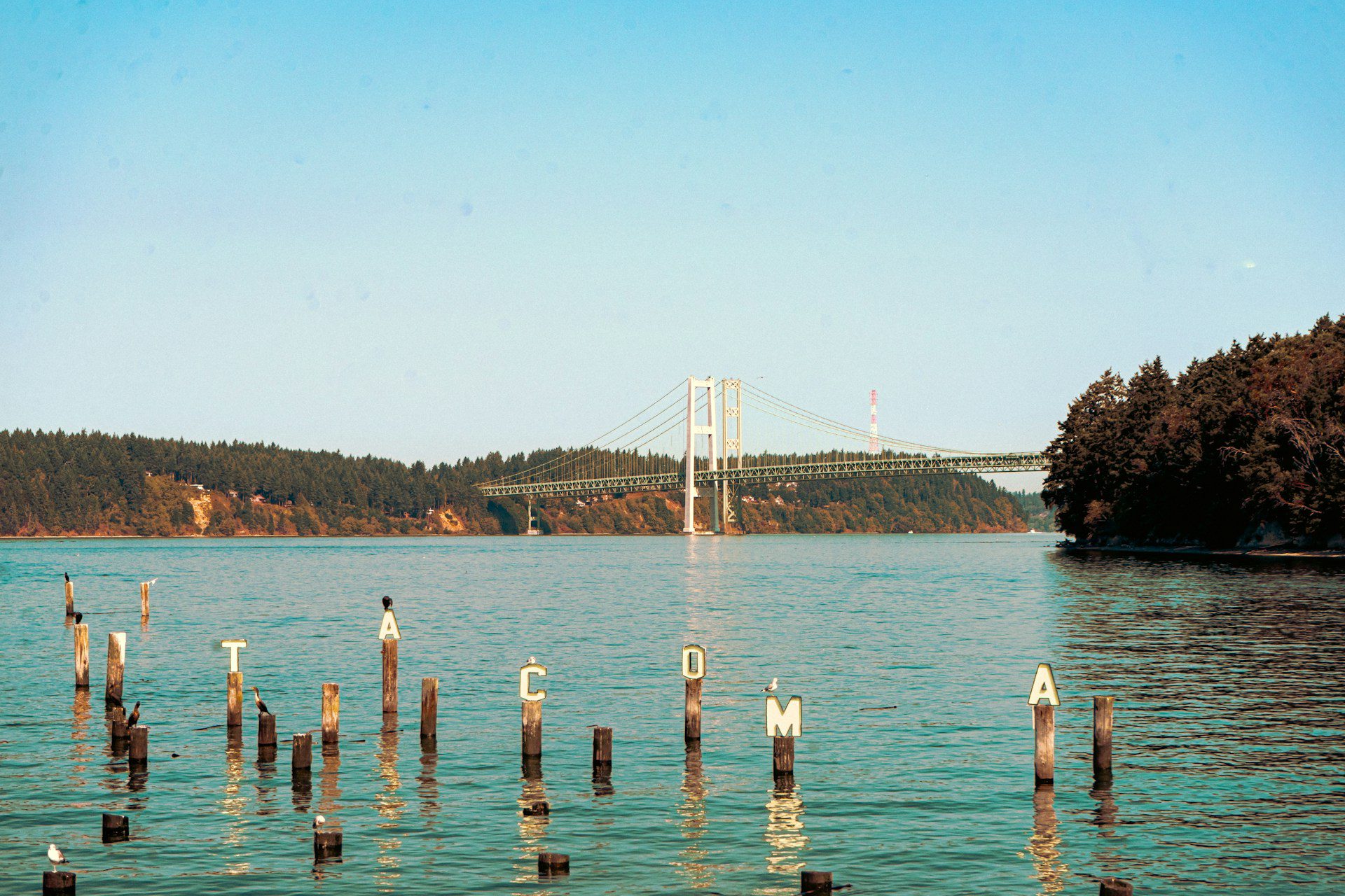 Tacoma Narrows Bridge